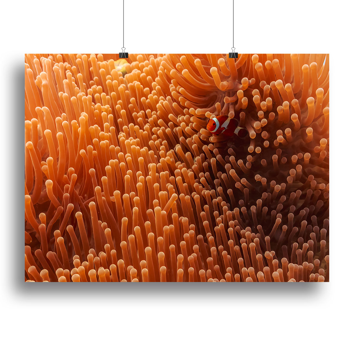 Hide And Seek Canvas Print or Poster - Canvas Art Rocks - 2