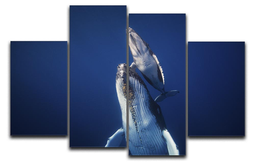 Come Back To The Surface 4 Split Panel Canvas - Canvas Art Rocks - 1