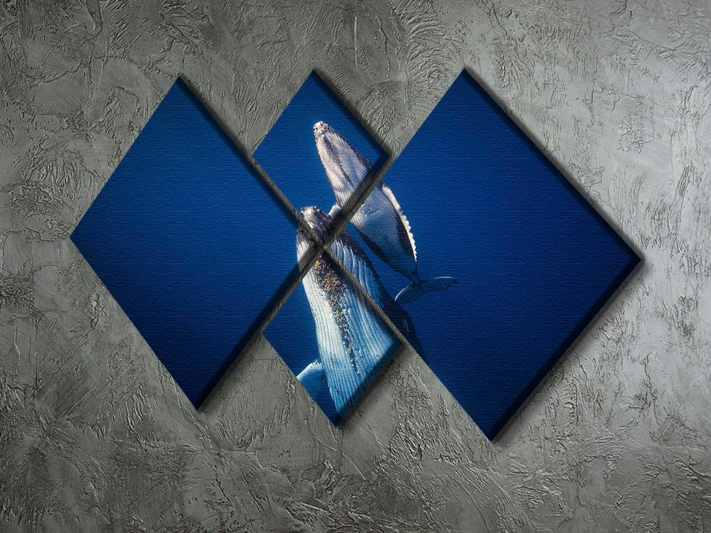 Come Back To The Surface 4 Square Multi Panel Canvas - Canvas Art Rocks - 2