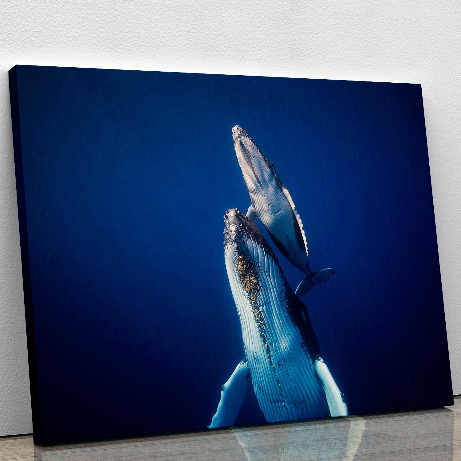 Come Back To The Surface Canvas Print or Poster - Canvas Art Rocks - 1