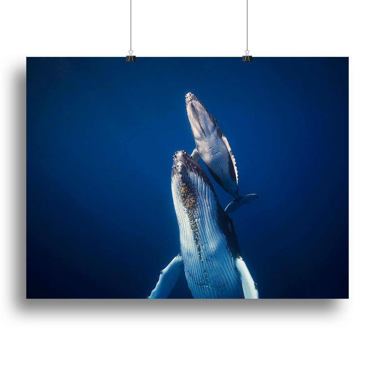 Come Back To The Surface Canvas Print or Poster - Canvas Art Rocks - 2