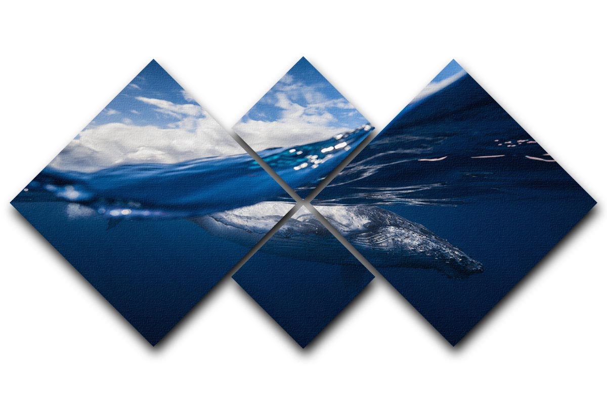 Humpback Whale And The Sky 4 Square Multi Panel Canvas - Canvas Art Rocks - 1
