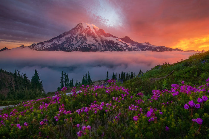 A Moment In Time Wall Mural Wallpaper