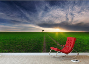 Loner In The Sun Wall Mural Wallpaper - Canvas Art Rocks - 2