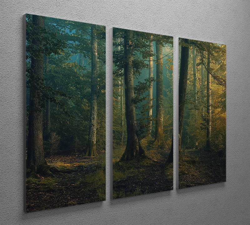 October Colors 3 Split Panel Canvas Print - Canvas Art Rocks - 2