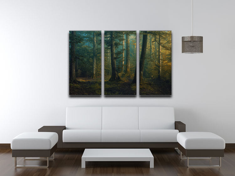 October Colors 3 Split Panel Canvas Print - Canvas Art Rocks - 3