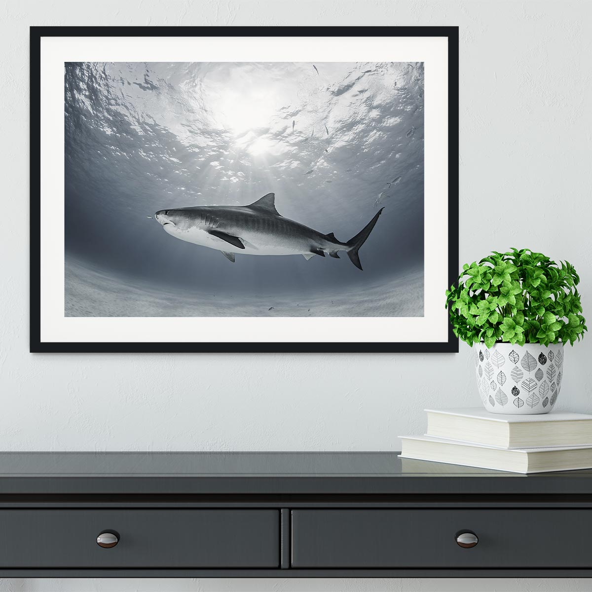 Tiger Rays Framed Print - Canvas Art Rocks - 1