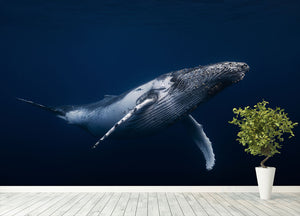 Humpback Whale In Blue Wall Mural Wallpaper - Canvas Art Rocks - 4