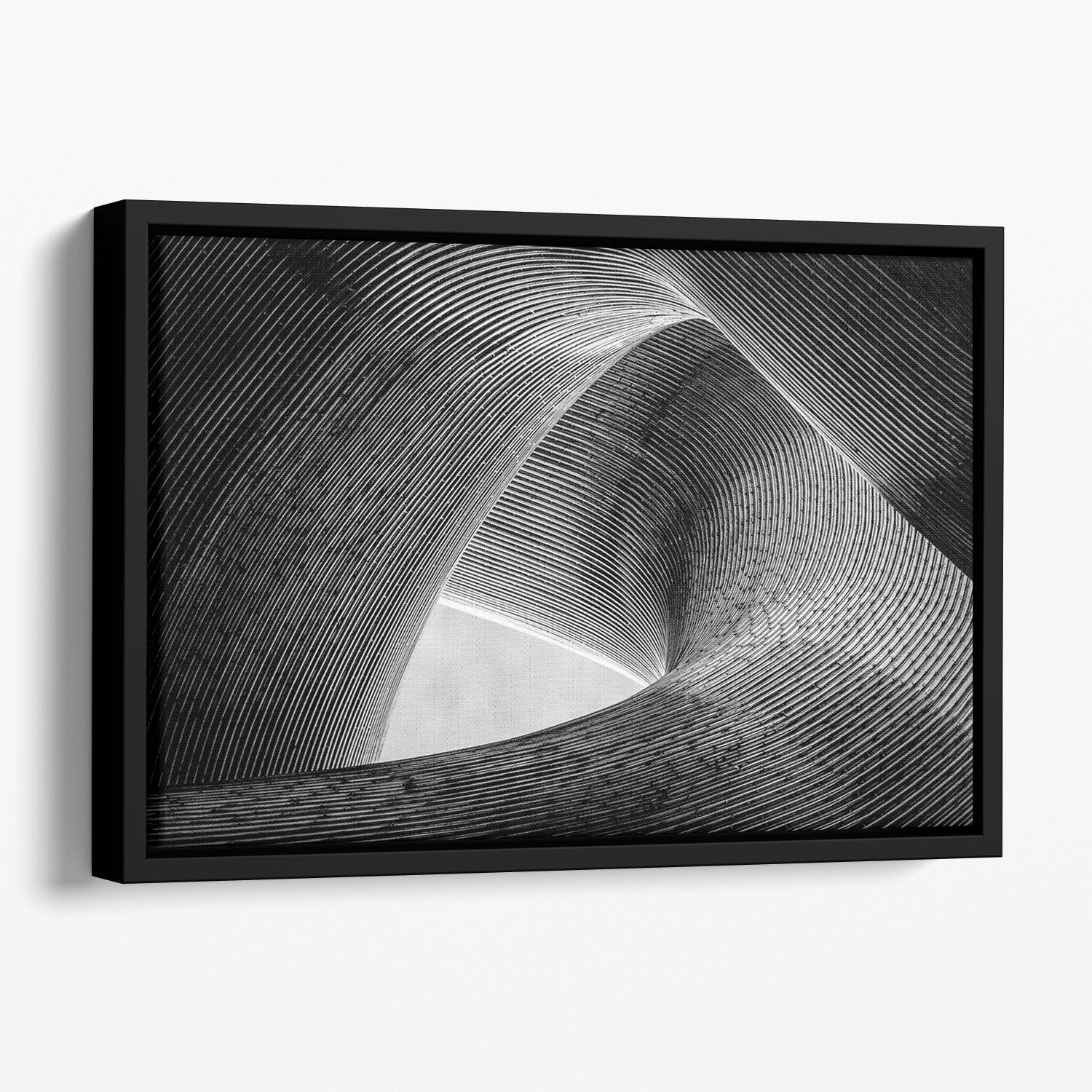 Entwined Floating Framed Canvas - Canvas Art Rocks - 1