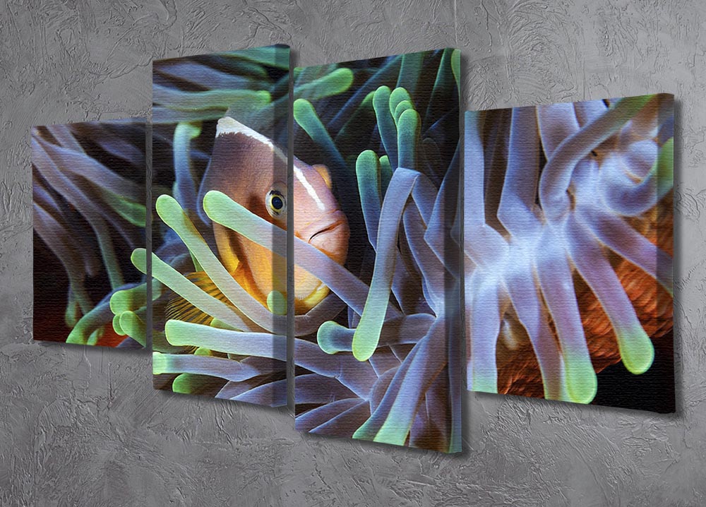 Clownfish 4 Split Panel Canvas - Canvas Art Rocks - 2