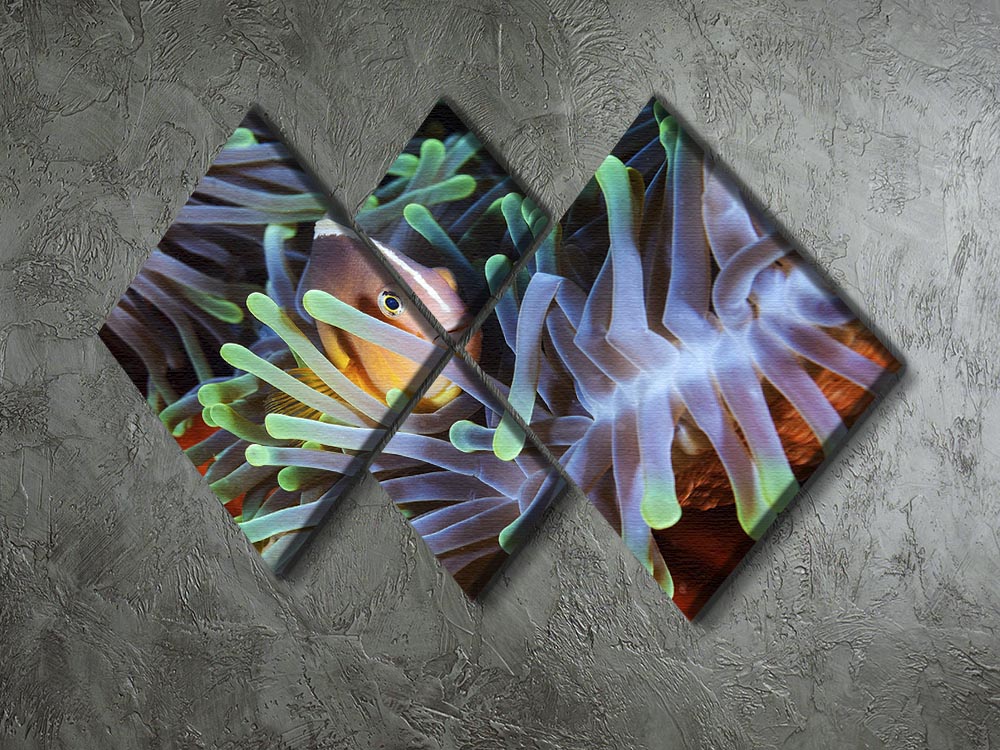 Clownfish 4 Square Multi Panel Canvas - Canvas Art Rocks - 2