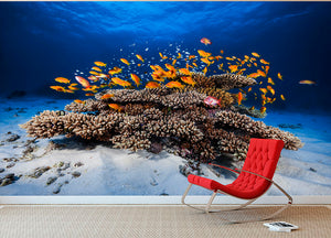 Marine Life Wall Mural Wallpaper - Canvas Art Rocks - 2