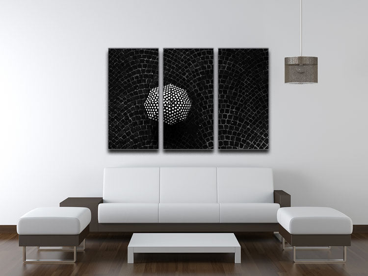 Pois 3 Split Panel Canvas Print - Canvas Art Rocks - 3
