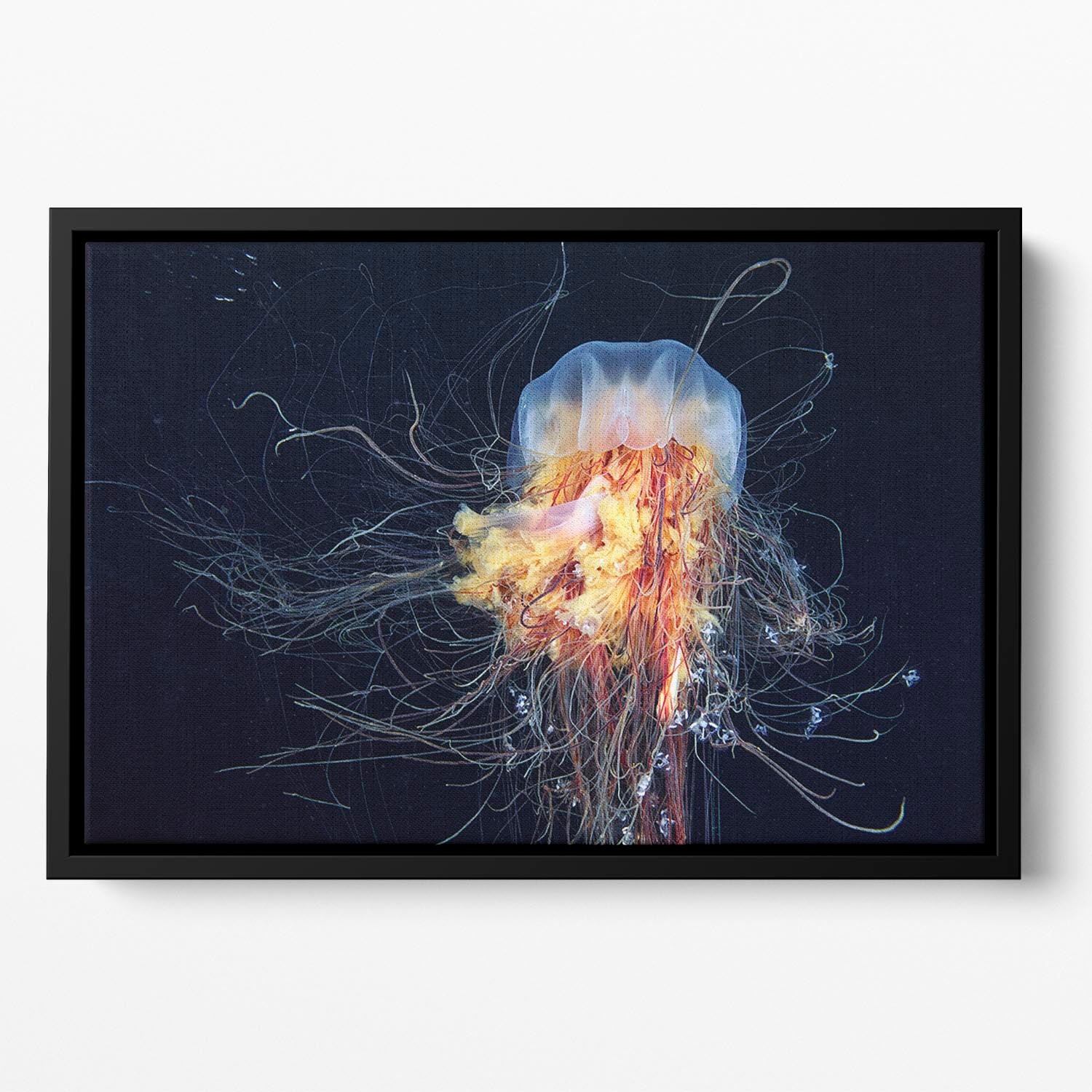 Giant Lion's Mane Floating Framed Canvas - Canvas Art Rocks - 2