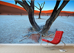 Ancient Trees In The Vlei Wall Mural Wallpaper - Canvas Art Rocks - 2