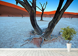 Ancient Trees In The Vlei Wall Mural Wallpaper - Canvas Art Rocks - 4