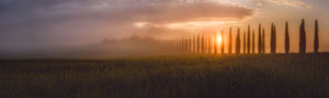 Tuscany Sunrising Wall Mural Wallpaper - Canvas Art Rocks - 1