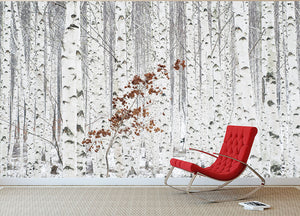 From White Wall Mural Wallpaper - Canvas Art Rocks - 2