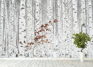 From White Wall Mural Wallpaper - Canvas Art Rocks - 4