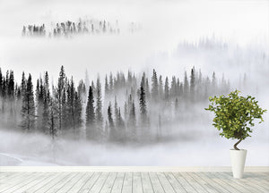 Foggy Forest Wall Mural Wallpaper - Canvas Art Rocks - 4