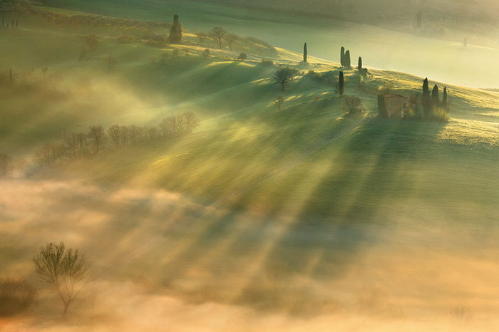 Mist Wall Mural Wallpaper