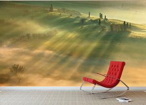 Mist Wall Mural Wallpaper - Canvas Art Rocks - 2