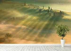 Mist Wall Mural Wallpaper - Canvas Art Rocks - 4