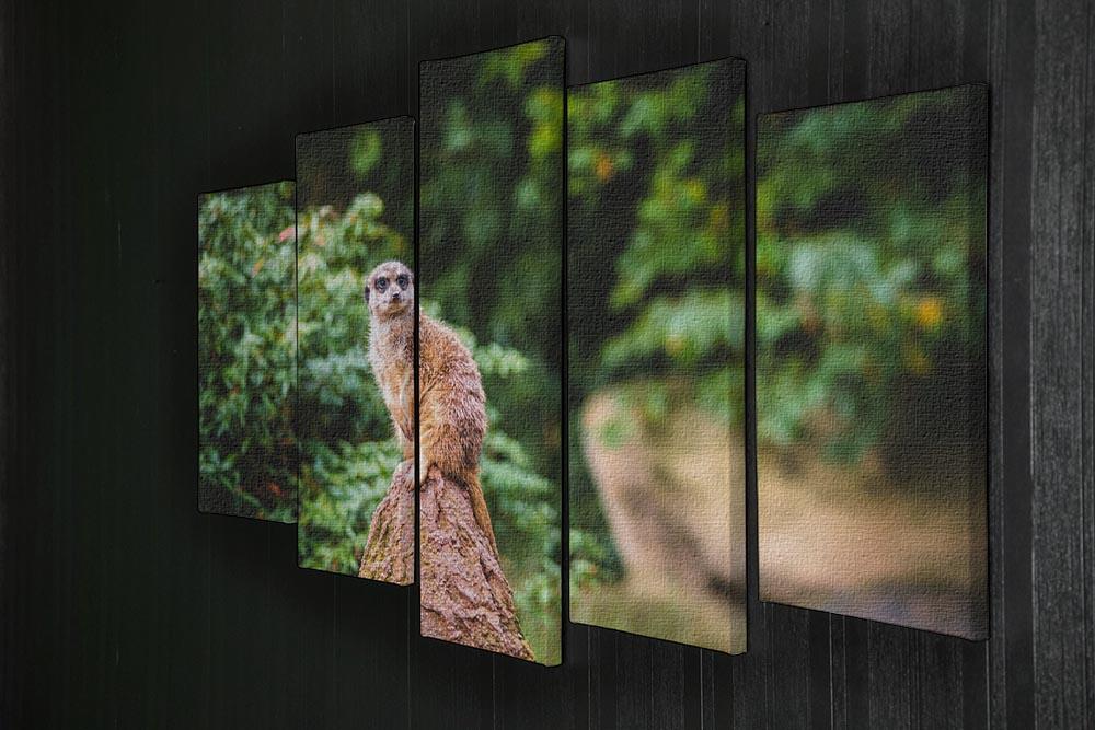 A Meerkats full attention 5 Split Panel Canvas - Canvas Art Rocks - 2