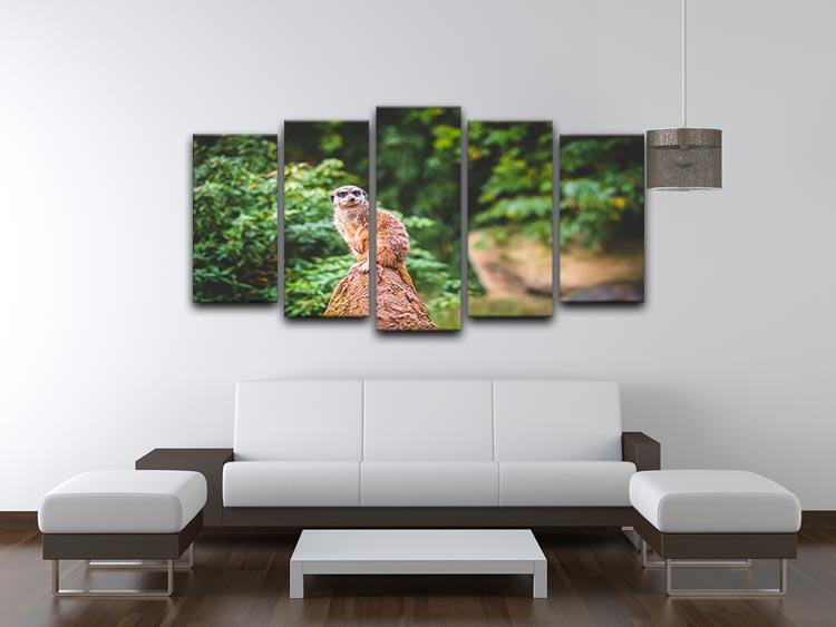 A Meerkats full attention 5 Split Panel Canvas - Canvas Art Rocks - 3