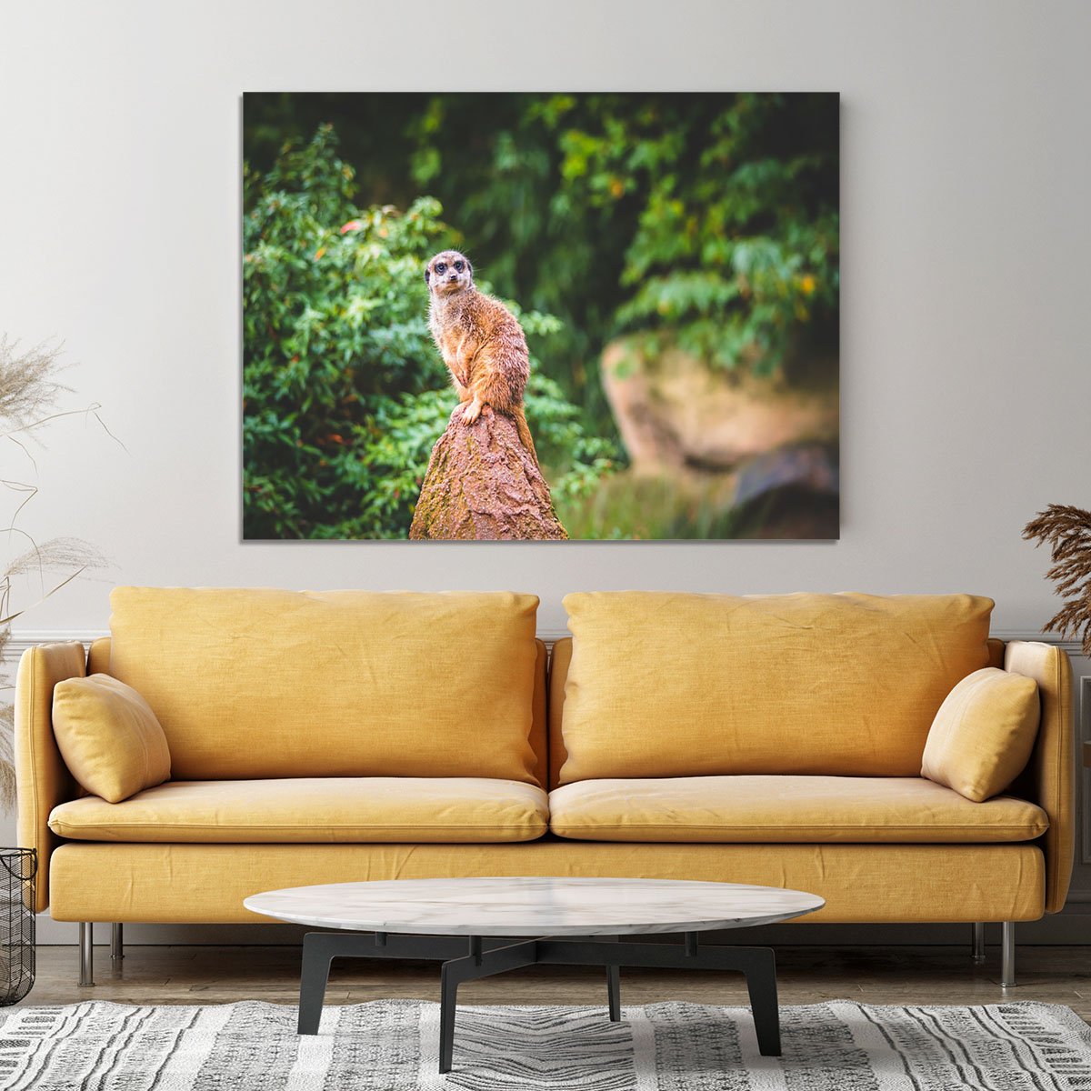 A Meerkats full attention Canvas Print or Poster