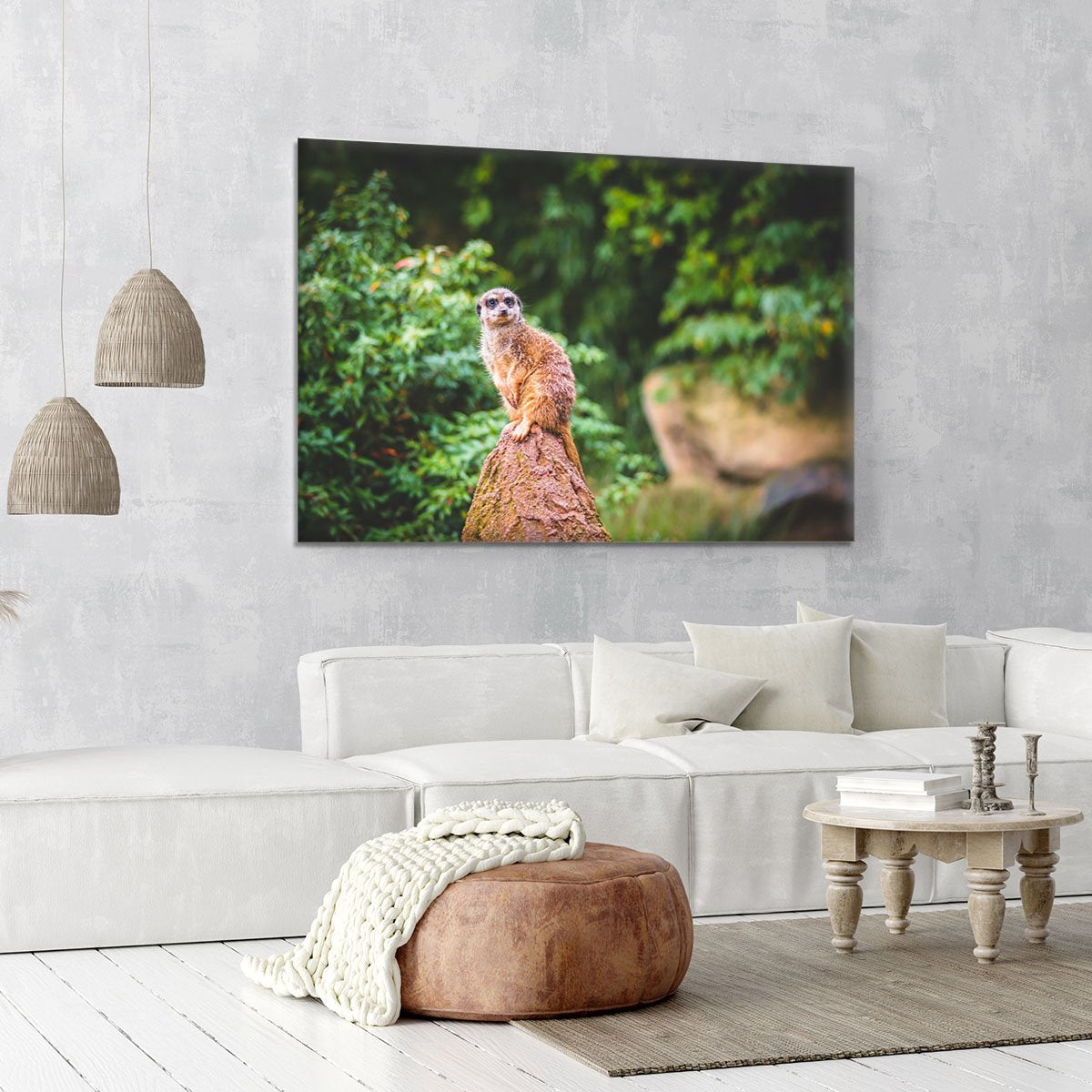 A Meerkats full attention Canvas Print or Poster