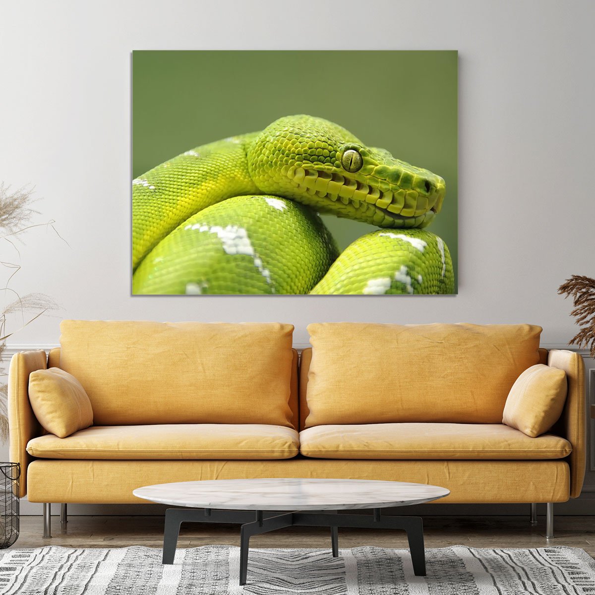 A closeup landscape shot of an Emerald Tree Boa Canvas Print or Poster