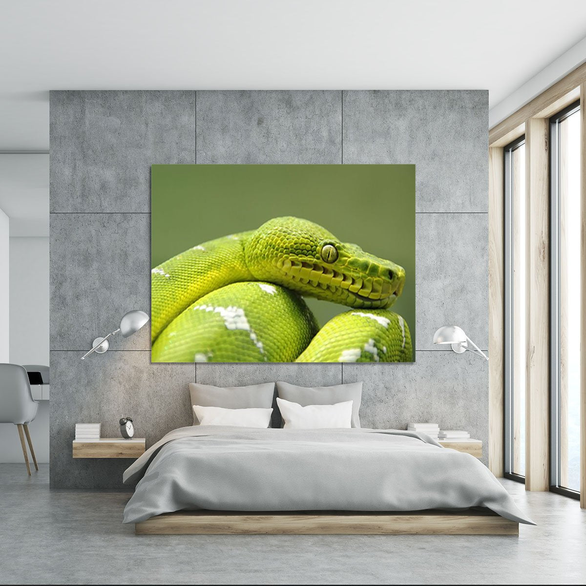 A closeup landscape shot of an Emerald Tree Boa Canvas Print or Poster