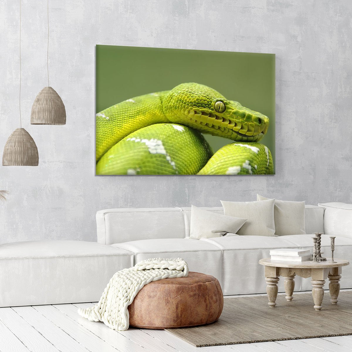 A closeup landscape shot of an Emerald Tree Boa Canvas Print or Poster
