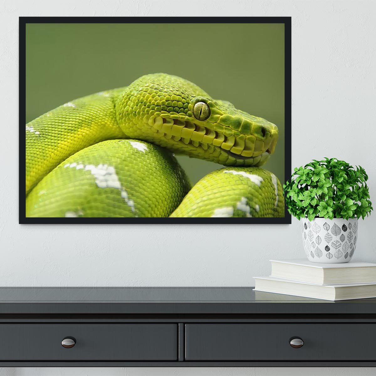 A closeup landscape shot of an Emerald Tree Boa Framed Print - Canvas Art Rocks - 2