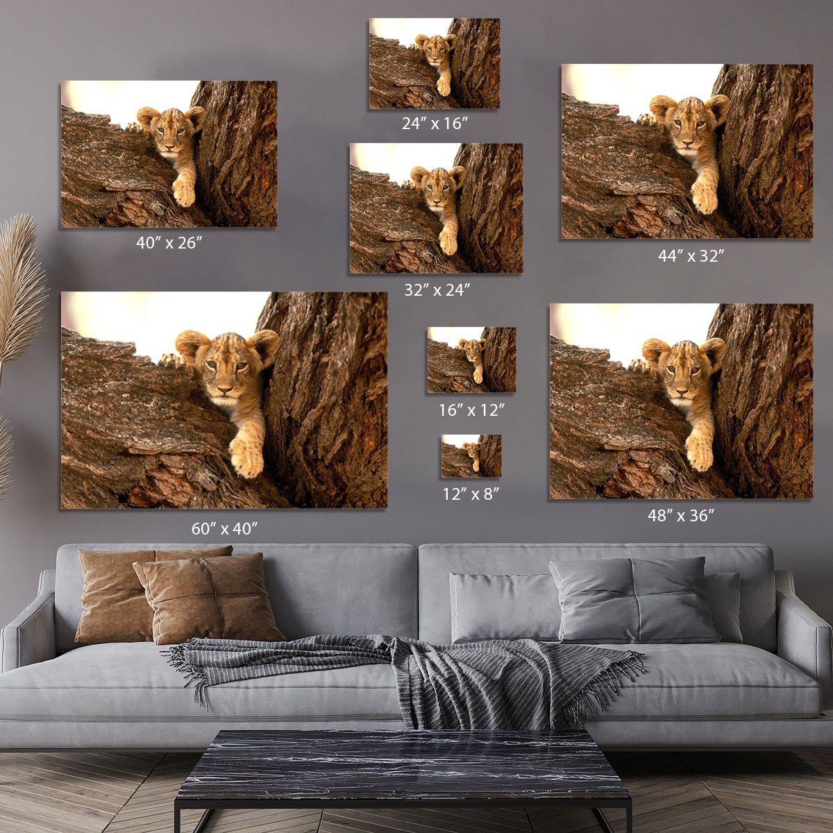 A little tiger cub look out for rocks Canvas Print or Poster
