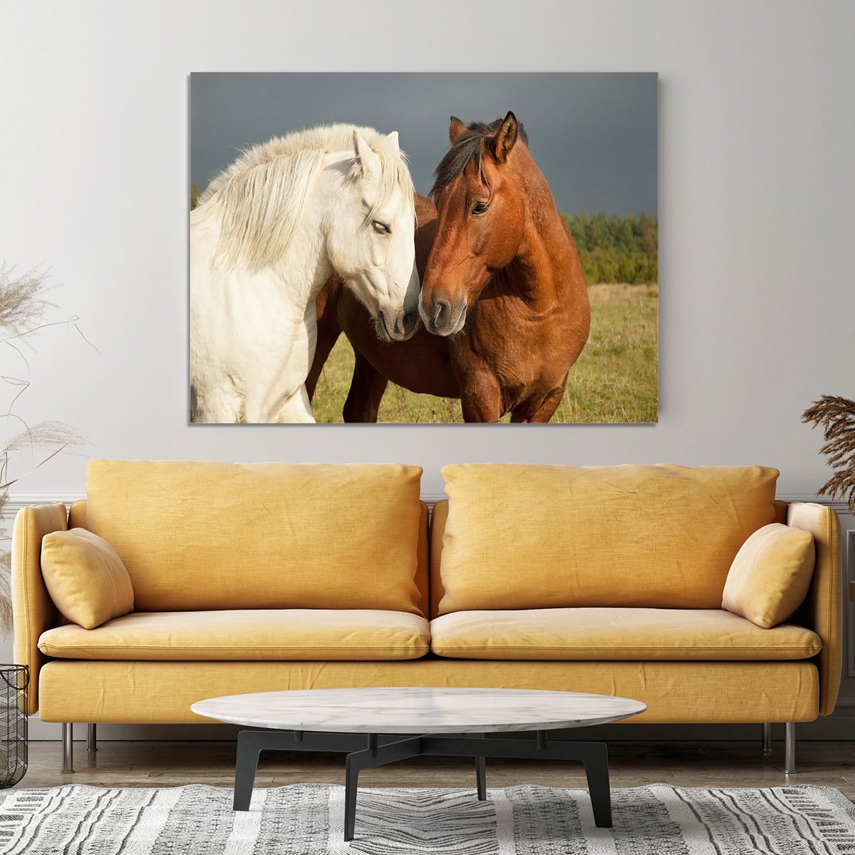 A pair of horses showing affection Canvas Print or Poster