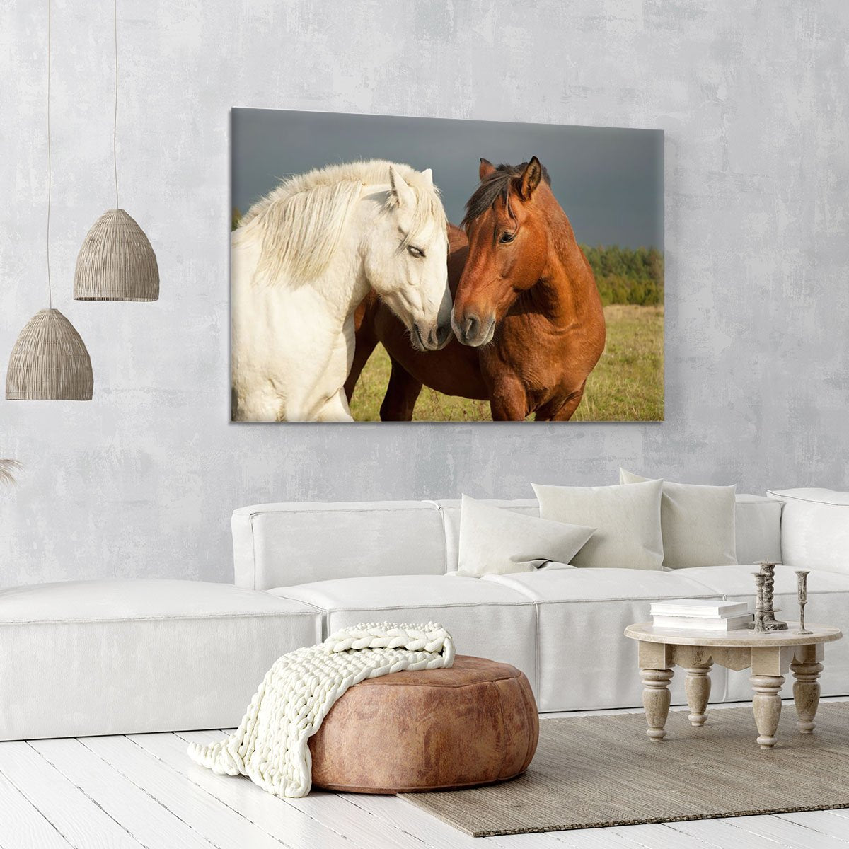 A pair of horses showing affection Canvas Print or Poster