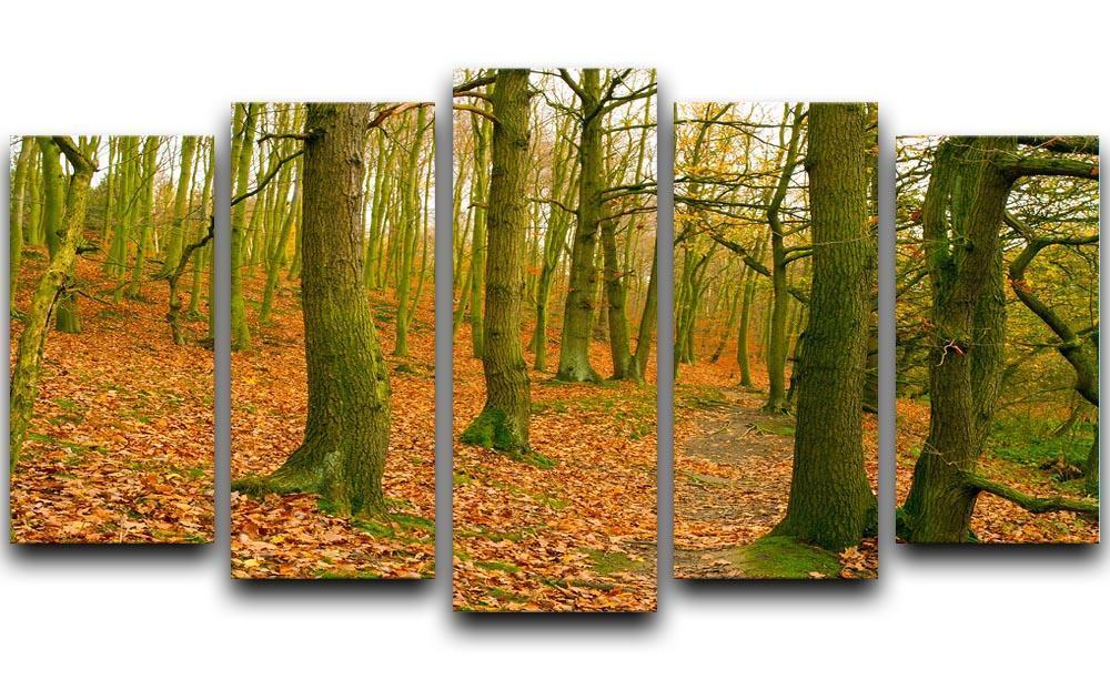 A path through the woods at Haw park 5 Split Panel Canvas  - Canvas Art Rocks - 1