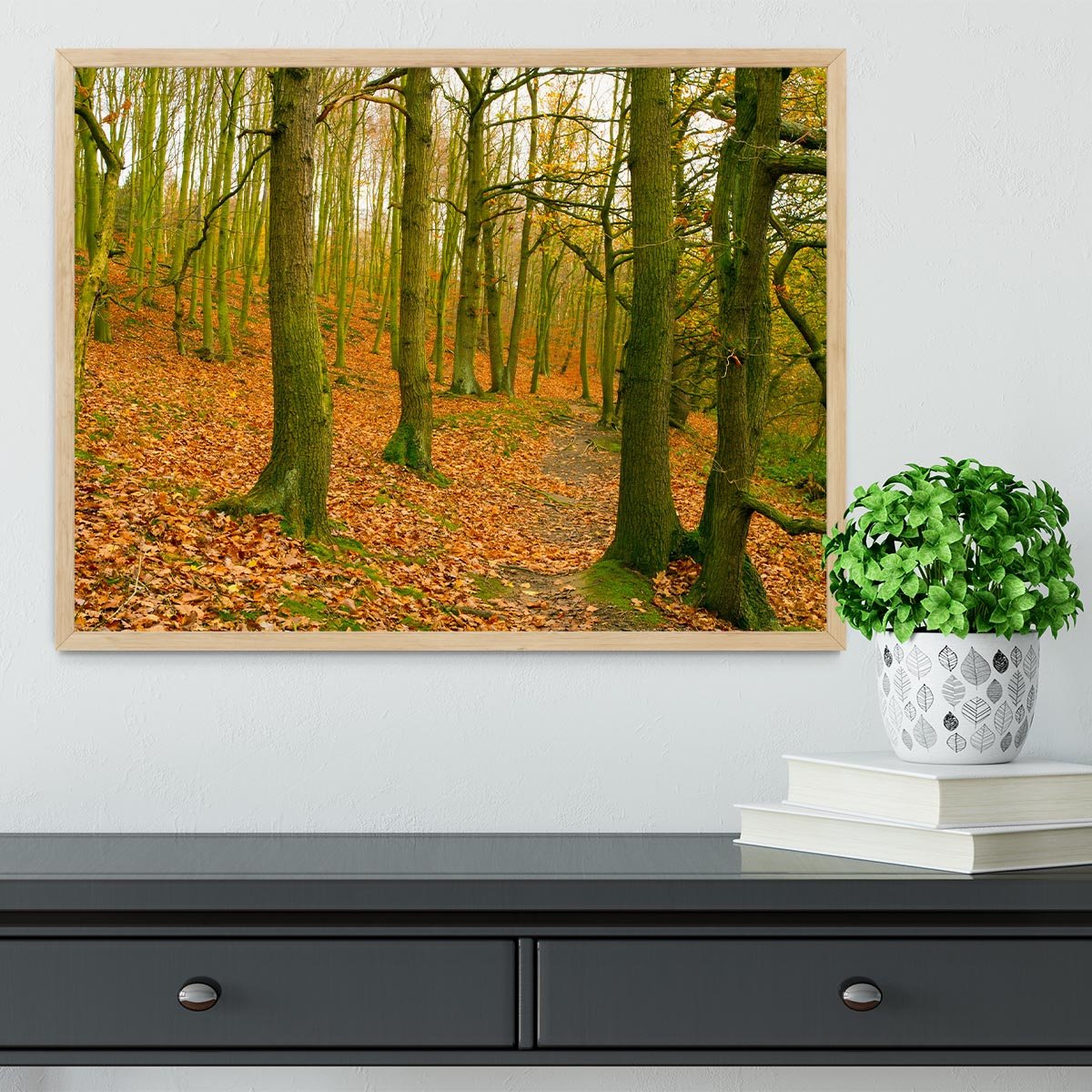 A path through the woods at Haw park Framed Print - Canvas Art Rocks - 4