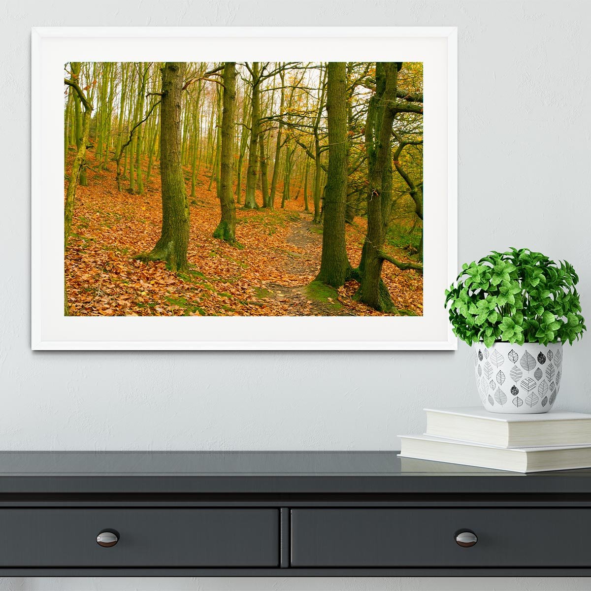A path through the woods at Haw park Framed Print - Canvas Art Rocks - 5