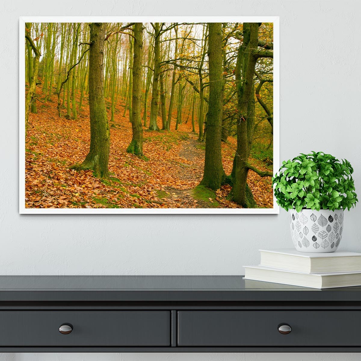 A path through the woods at Haw park Framed Print - Canvas Art Rocks -6