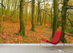 A path through the woods at Haw park Wall Mural Wallpaper - Canvas Art Rocks - 2