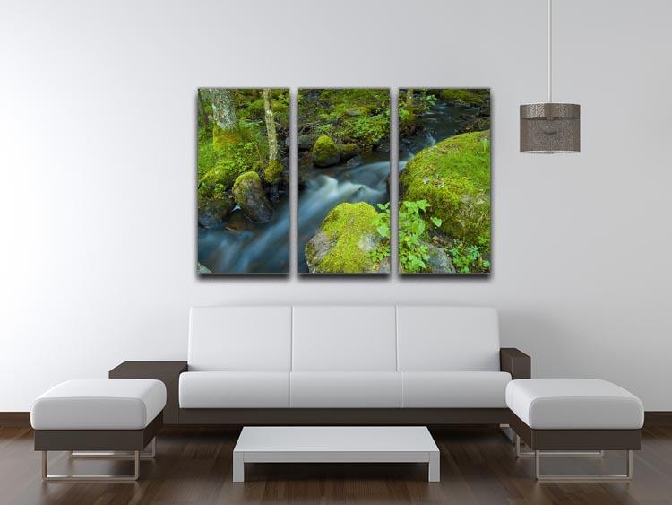 A small 3 Split Panel Canvas Print - Canvas Art Rocks - 3