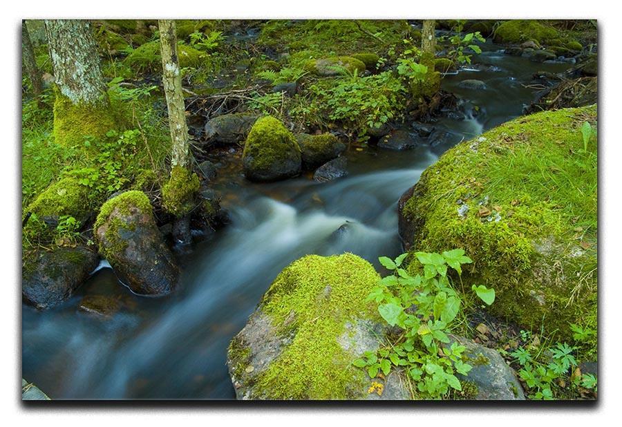 A small Canvas Print or Poster  - Canvas Art Rocks - 1