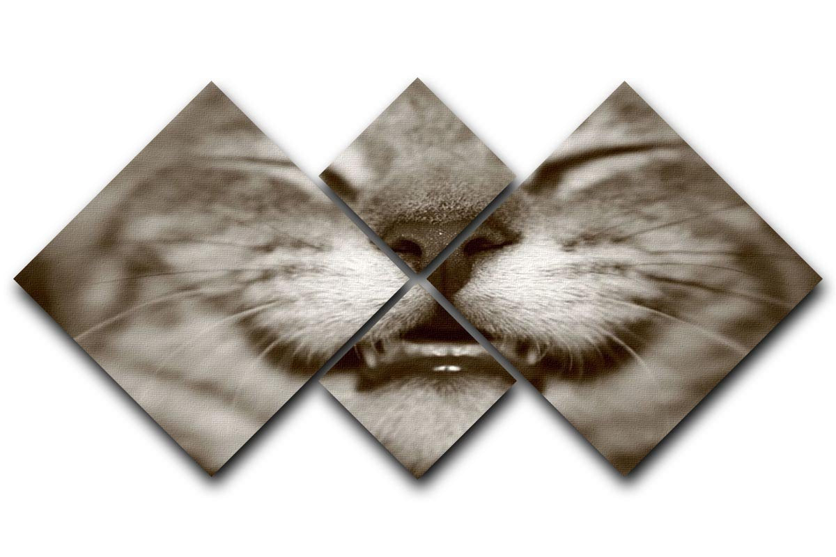 A smiling kitten 4 Square Multi Panel Canvas - Canvas Art Rocks - 1