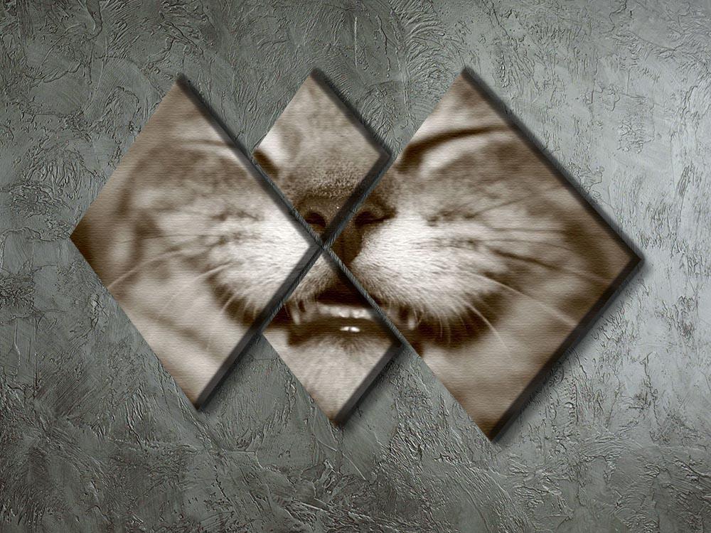 A smiling kitten 4 Square Multi Panel Canvas - Canvas Art Rocks - 2