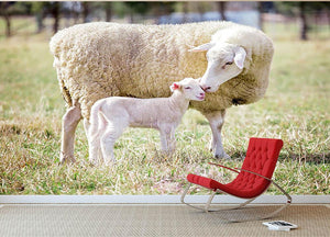 A white suffolk sheep with a lamb Wall Mural Wallpaper - Canvas Art Rocks - 2