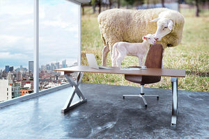 A white suffolk sheep with a lamb Wall Mural Wallpaper - Canvas Art Rocks - 3