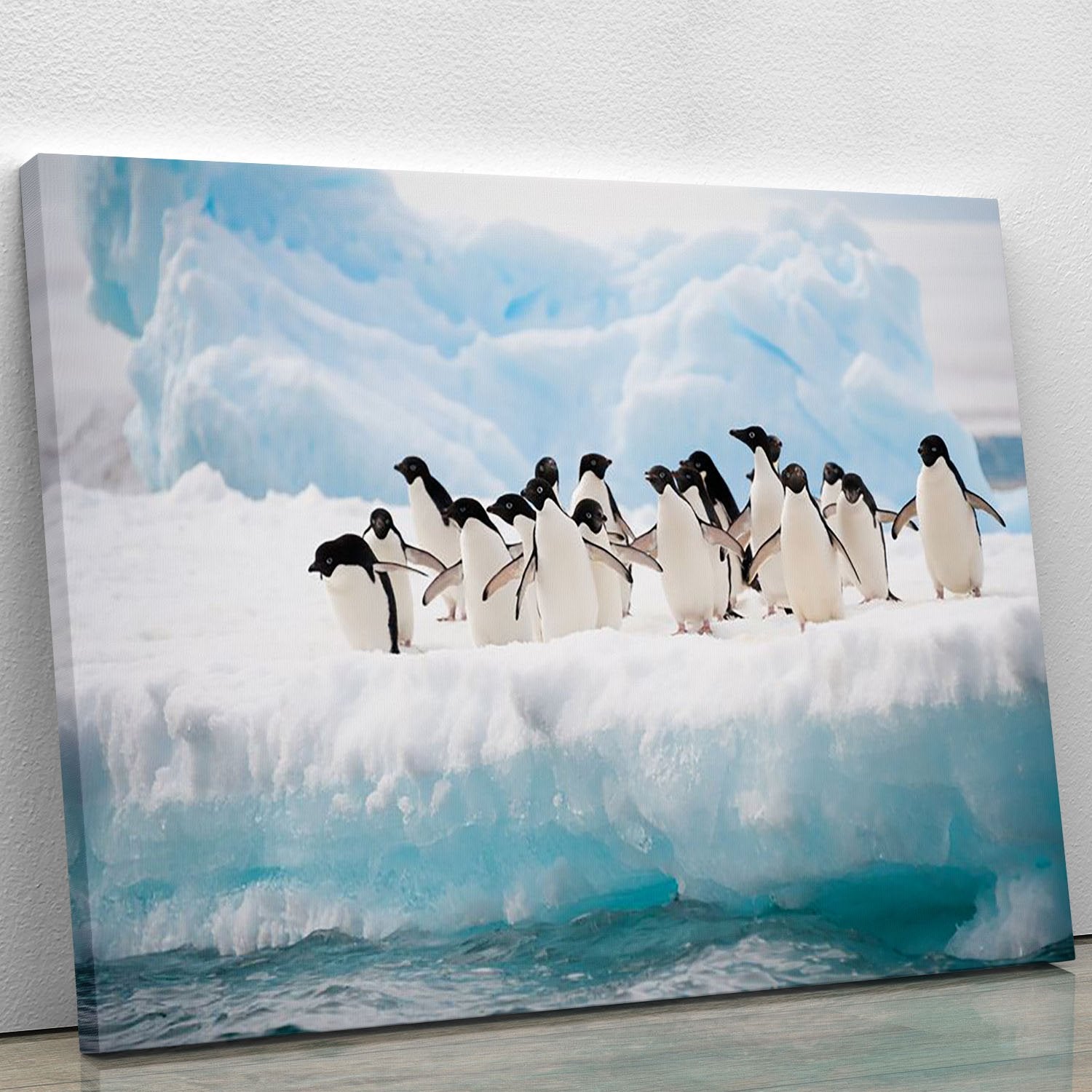 Adelie penguins colony on the iceberg Canvas Print or Poster